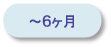〜6カ月